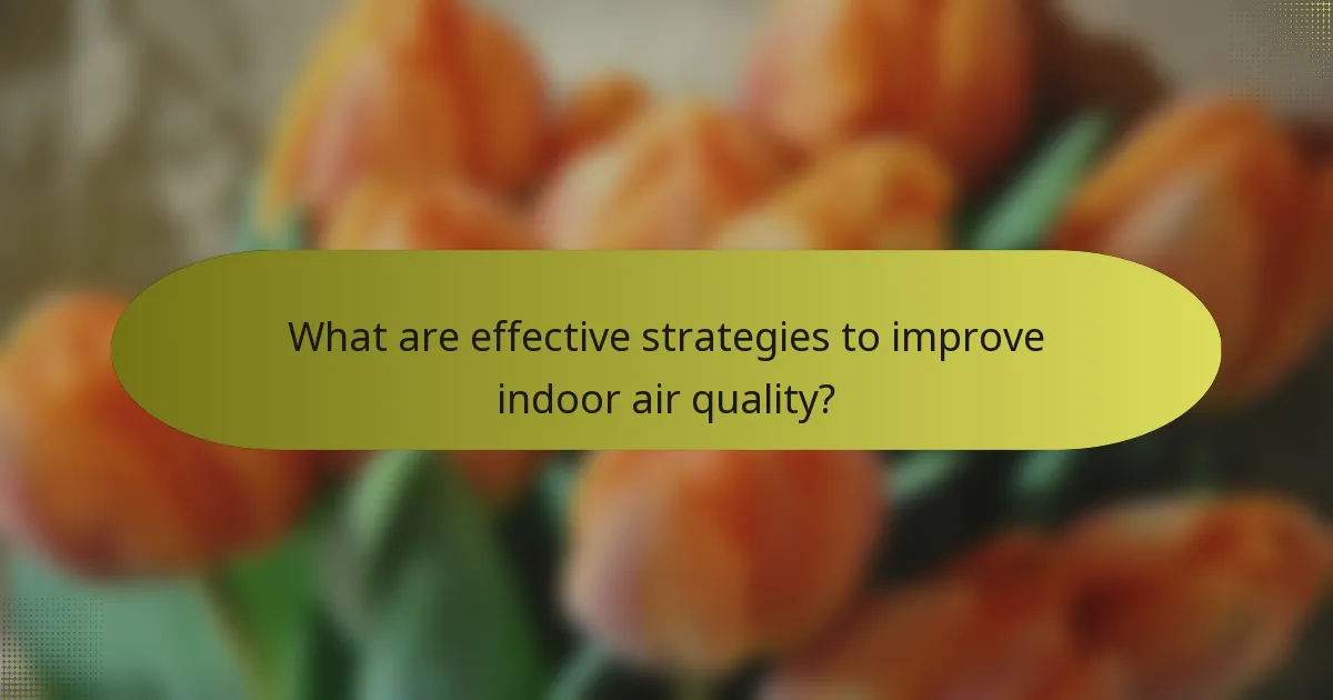 What are effective strategies to improve indoor air quality?