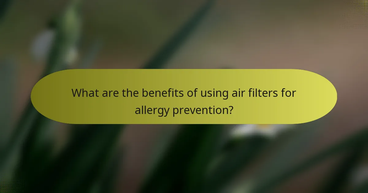 What are the benefits of using air filters for allergy prevention?