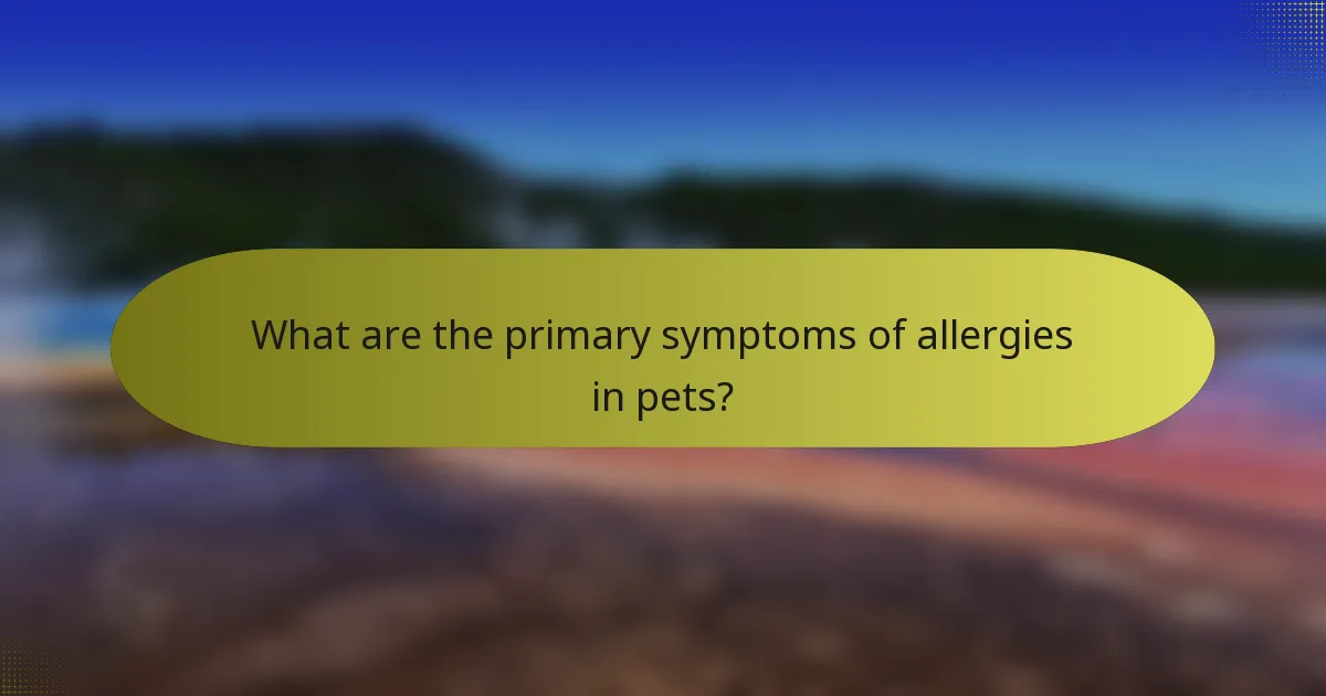 What are the primary symptoms of allergies in pets?