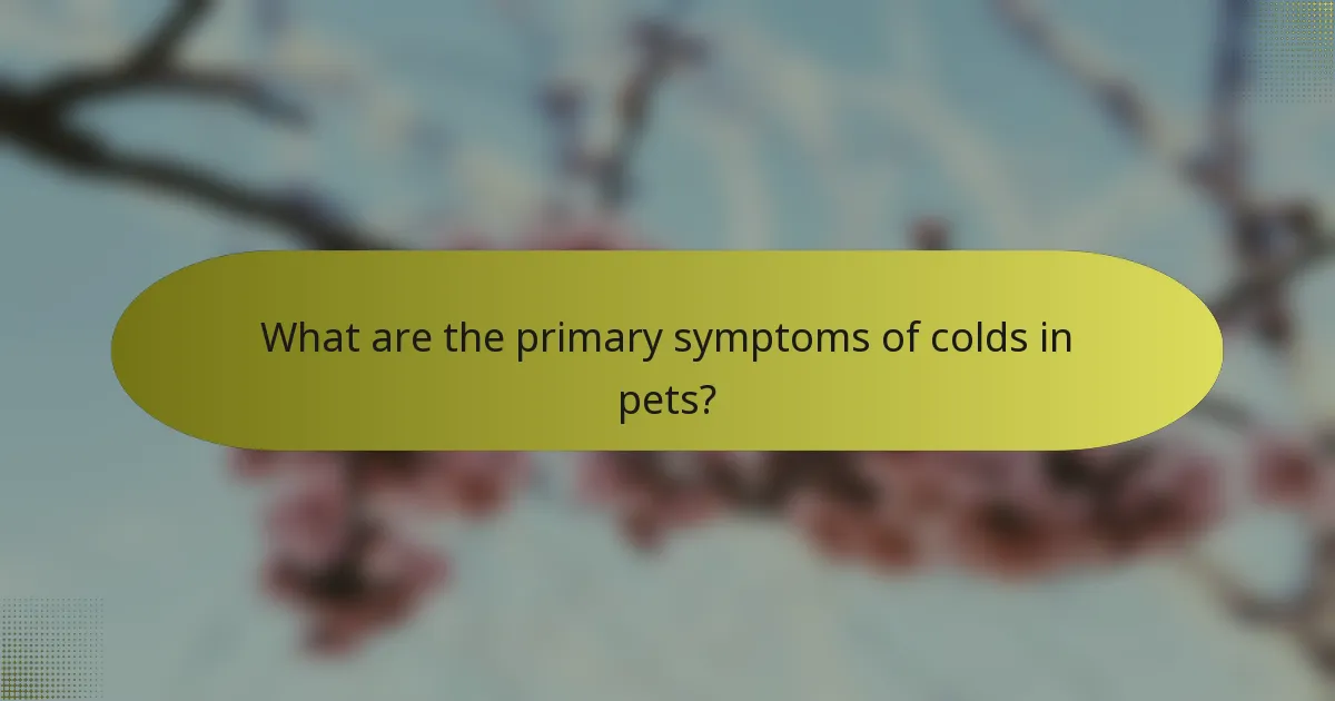 What are the primary symptoms of colds in pets?