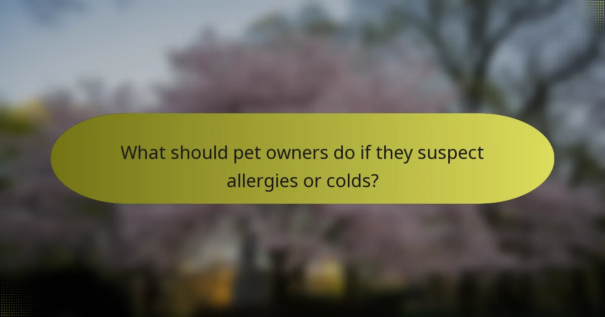 What should pet owners do if they suspect allergies or colds?